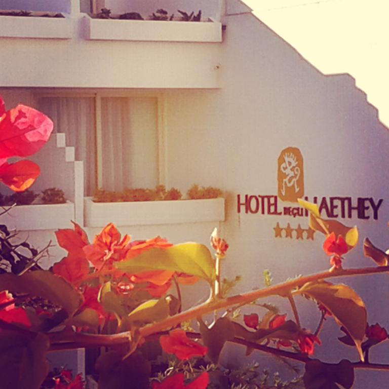 Hotel Degli Haethey Otranto Eksteriør billede